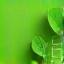 Icona di una pianta in dettaglio.